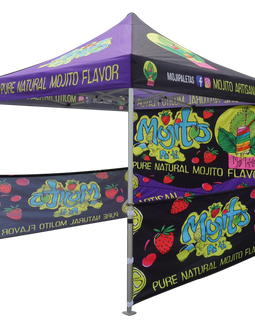 Carpa 10x10 Full Kit